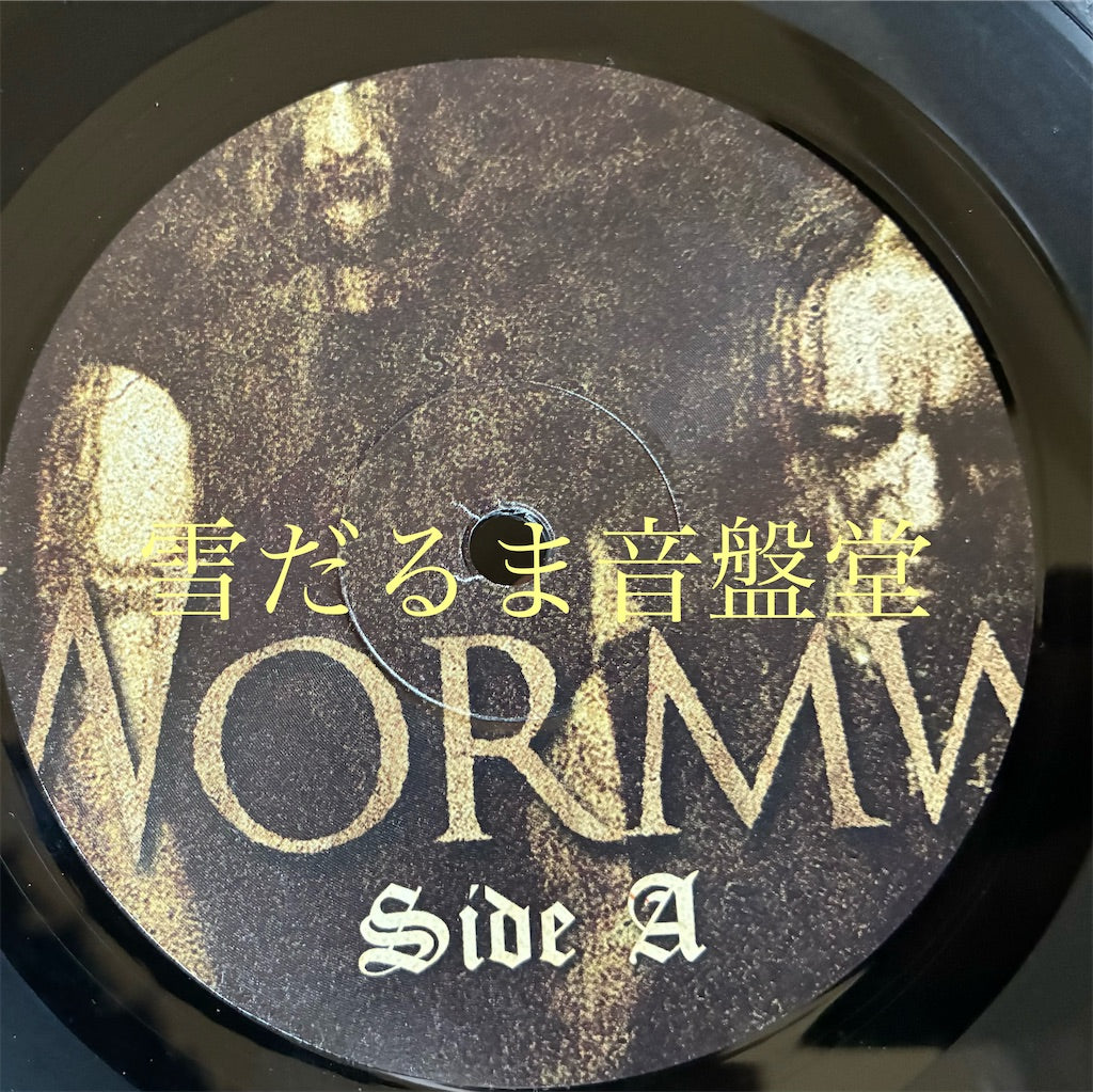 Marduk【Wormwood】中古レコード