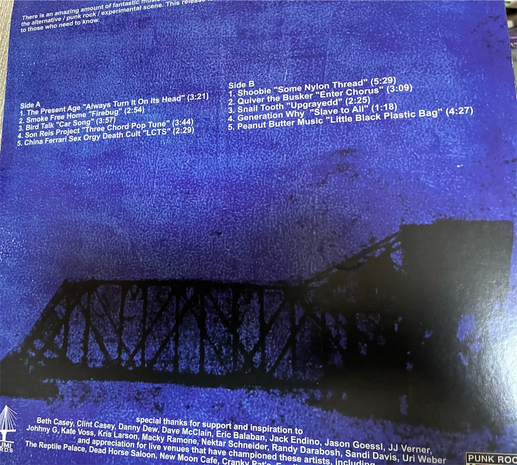 パンク・ソフトパンクオムニバス【Oshkomp】新品レコード