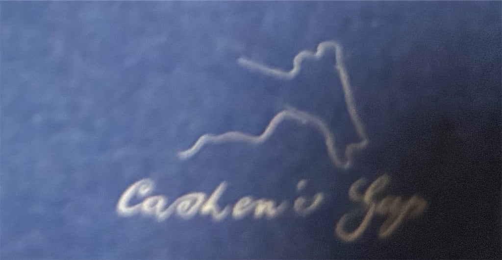 Current 93【I Have a Special Plan for This World】新品レコード
