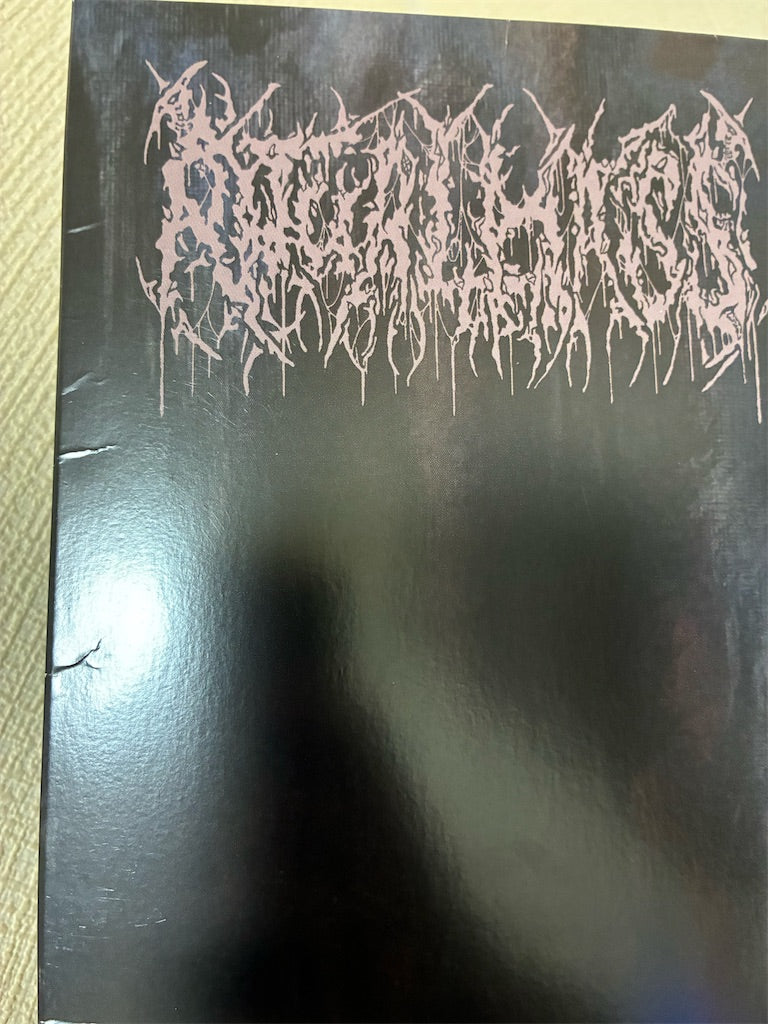 Ritual Mass【Cascading Misery】新品レコード