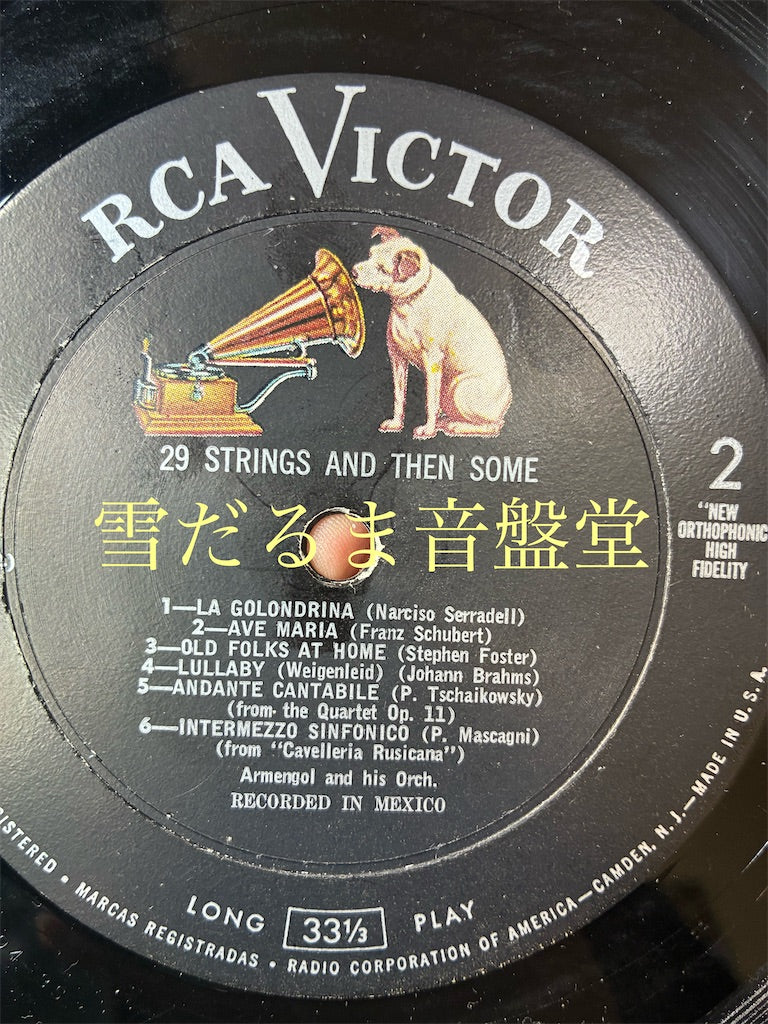 Mario Ruiz Armengol【29 STRINGS AND THEN SOME】中古レコード