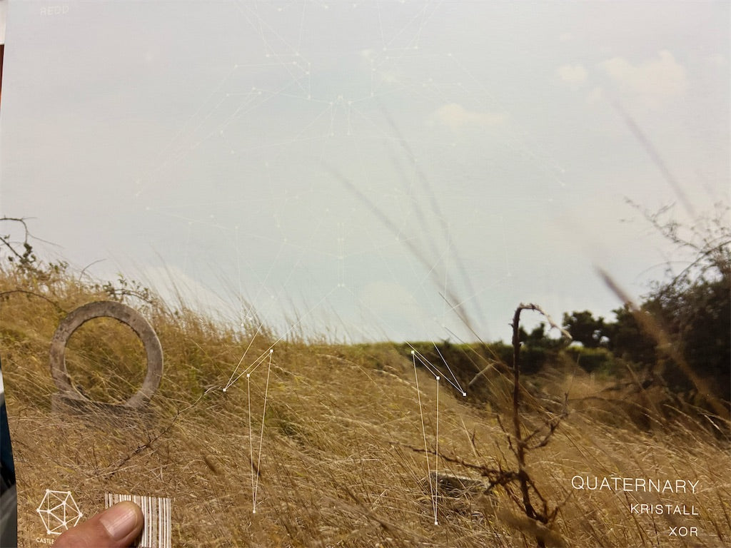 DALHAM 【AND THE SUN】新品レコード