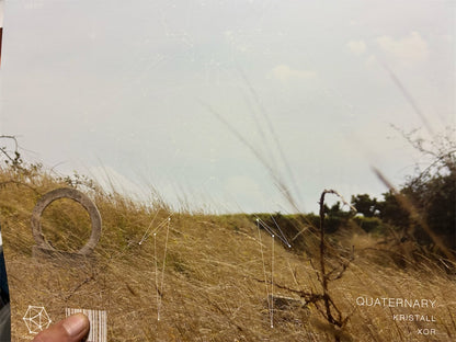 DALHAM 【AND THE SUN】新品レコード