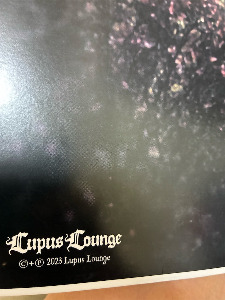 Xasthur 【 A Misleading Reality】新品レコード