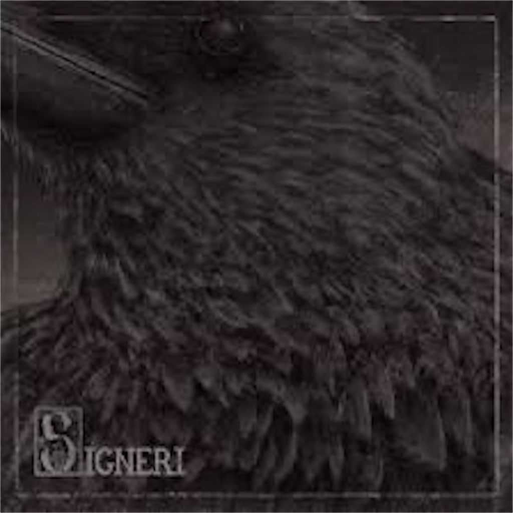 Signeri【Signeri】新品レコード