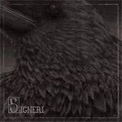 Signeri【Signeri】新品レコード
