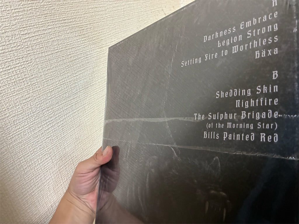 Signeri【Signeri】新品レコード