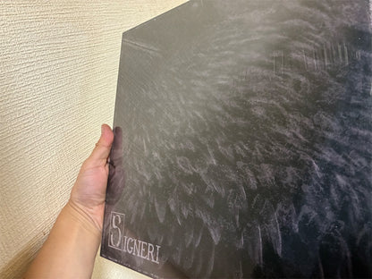 Signeri【Signeri】新品レコード