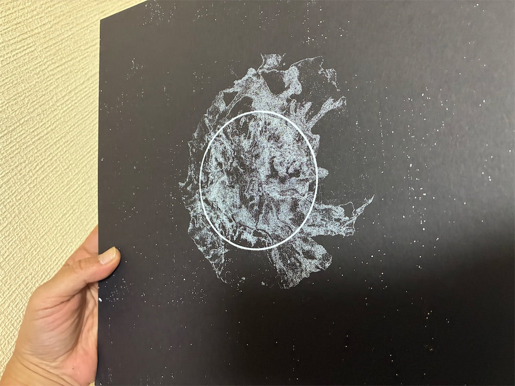 House of Apparition【House of Apparition】新品レコード