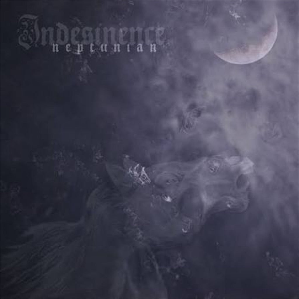 Indesinence【Neptunian】中古レコード
