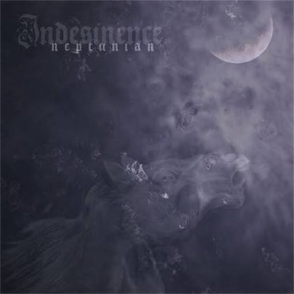 Indesinence【Neptunian】中古レコード