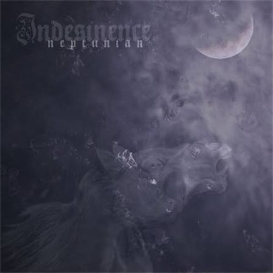 Indesinence【Neptunian】中古レコード