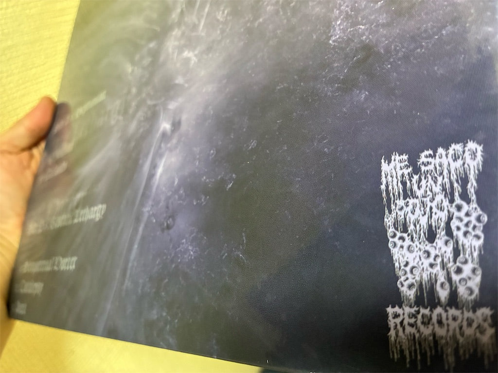 Indesinence【Neptunian】中古レコード