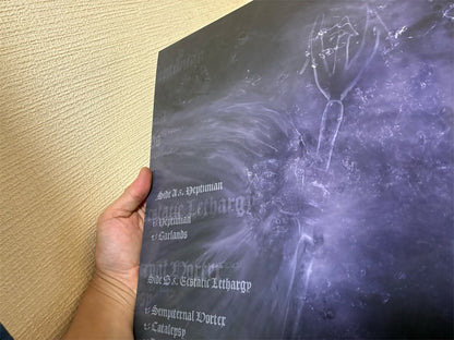 Indesinence【Neptunian】中古レコード