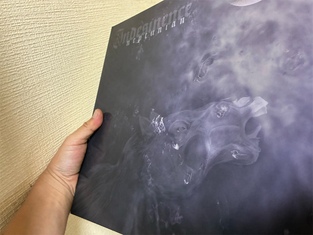 Indesinence【Neptunian】中古レコード