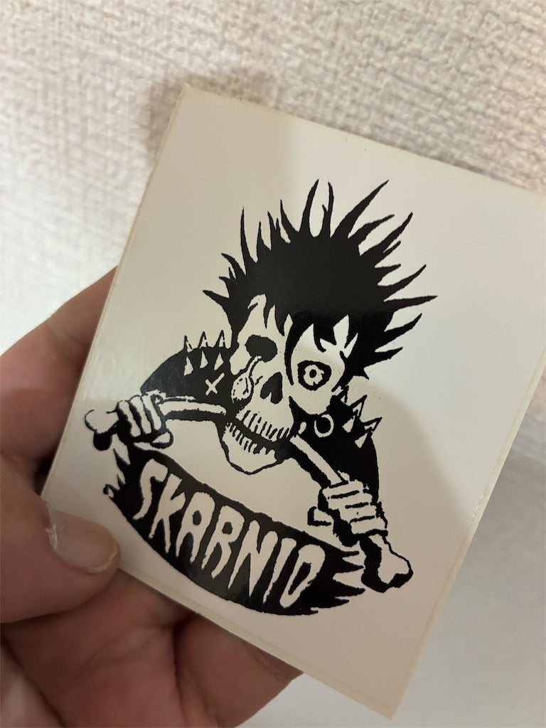 SKARNIO【Pobre Natureza】中古レコード