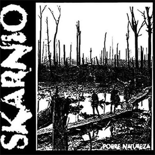 SKARNIO【Pobre Natureza】中古レコード