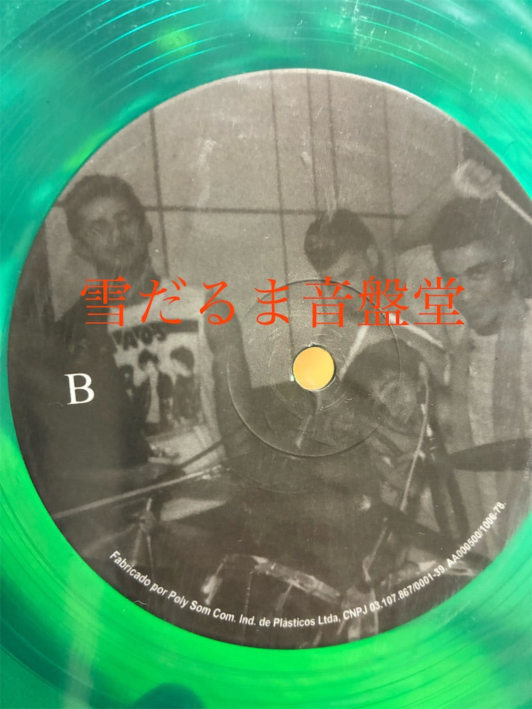 SKARNIO【Pobre Natureza】中古レコード