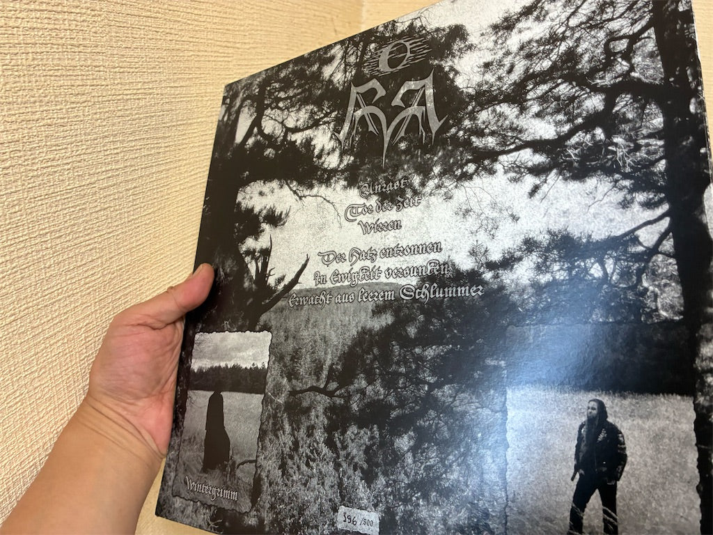 Rimruna【Der Hatz entronnen】中古レコード