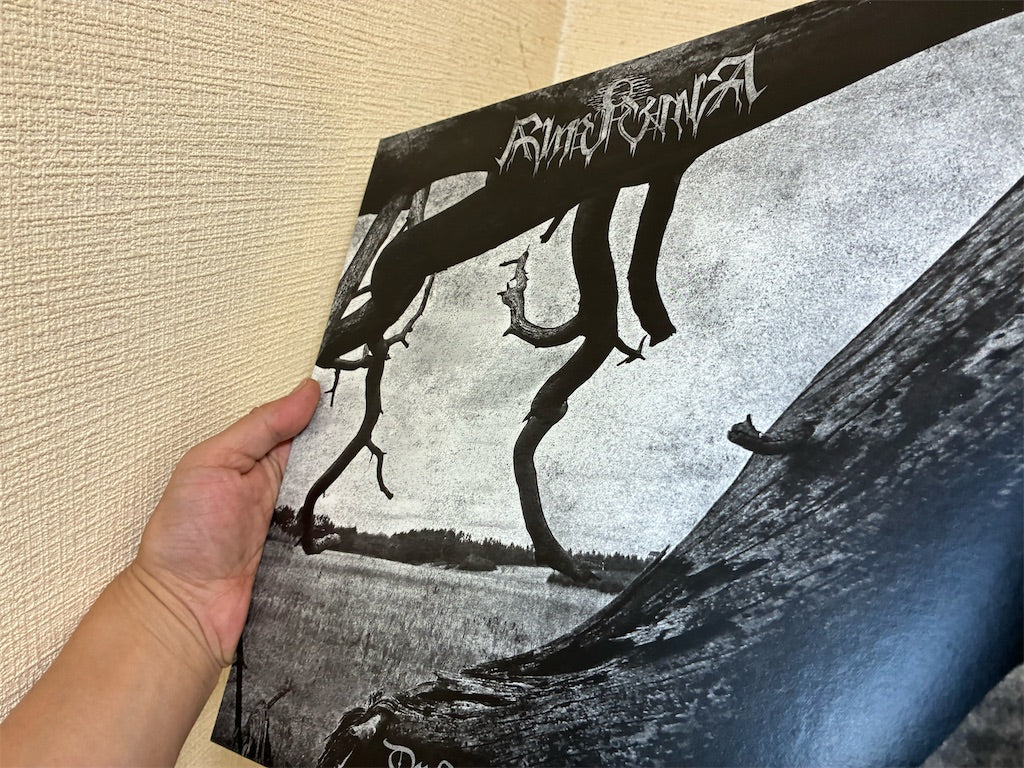 Rimruna【Der Hatz entronnen】中古レコード