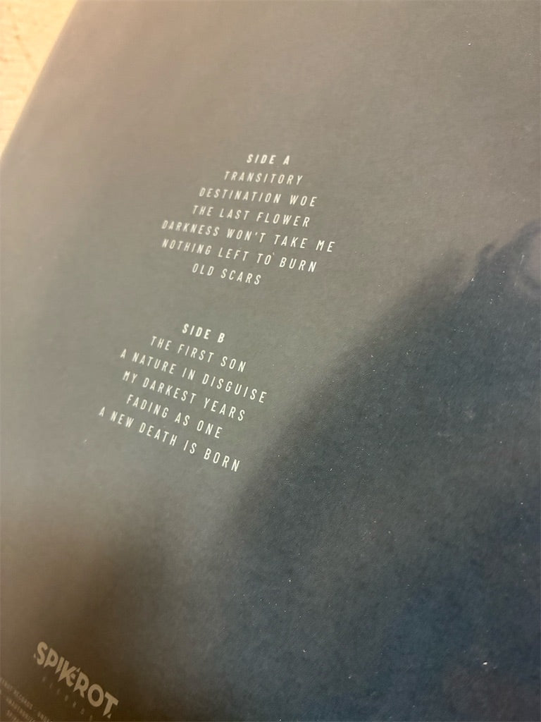 Shores Of Null【The Loss Of Beauty】新品レコード