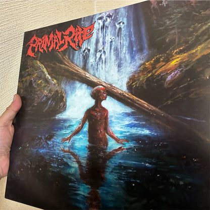 Primal Rite【Dirge of Escapism】中古レコード
