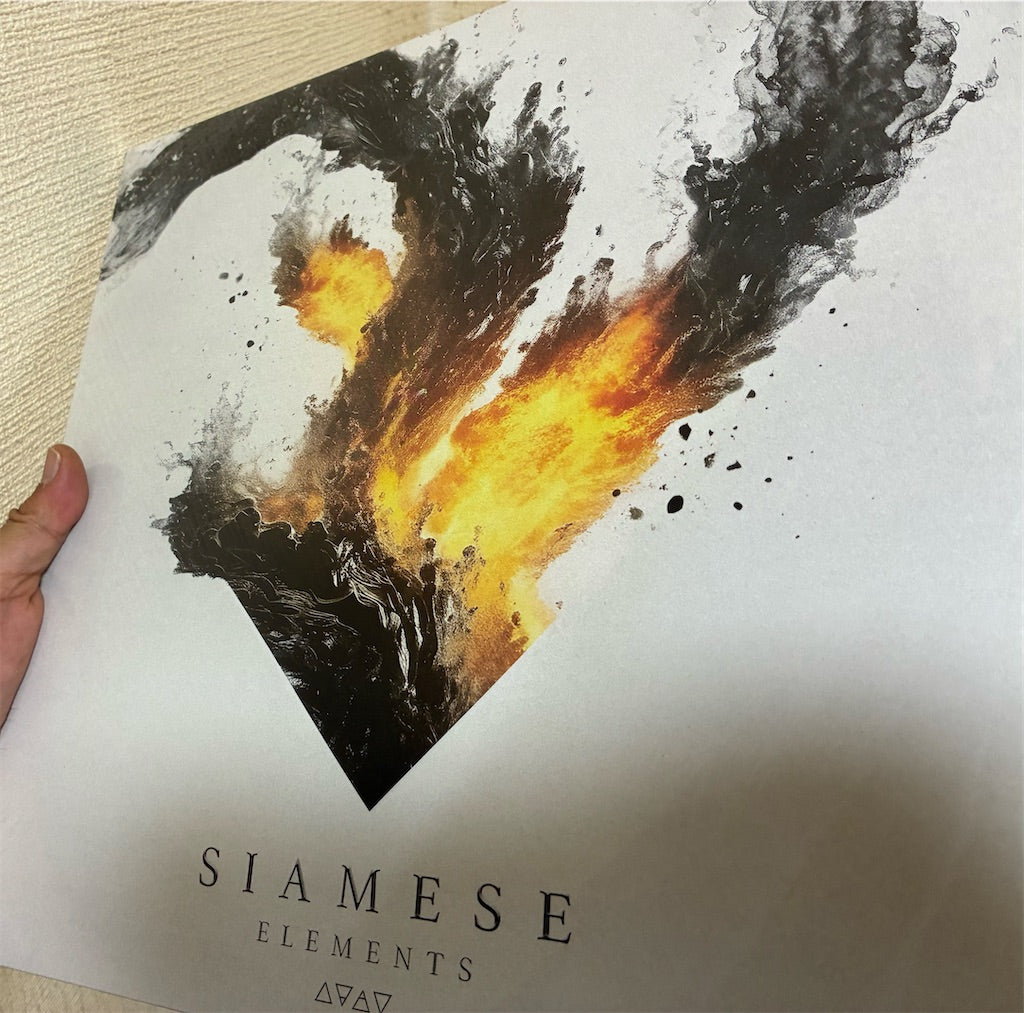 Siamese【Elements】新品レコード