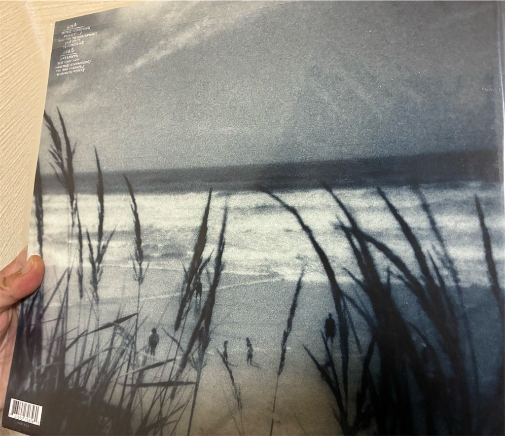 Drowse【Wane Into It】新品レコード
