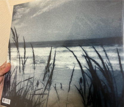 Drowse【Wane Into It】新品レコード