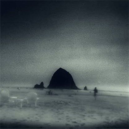 Drowse【Wane Into It】新品レコード