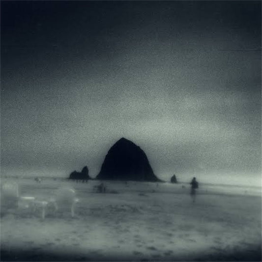 Drowse【Wane Into It】新品レコード