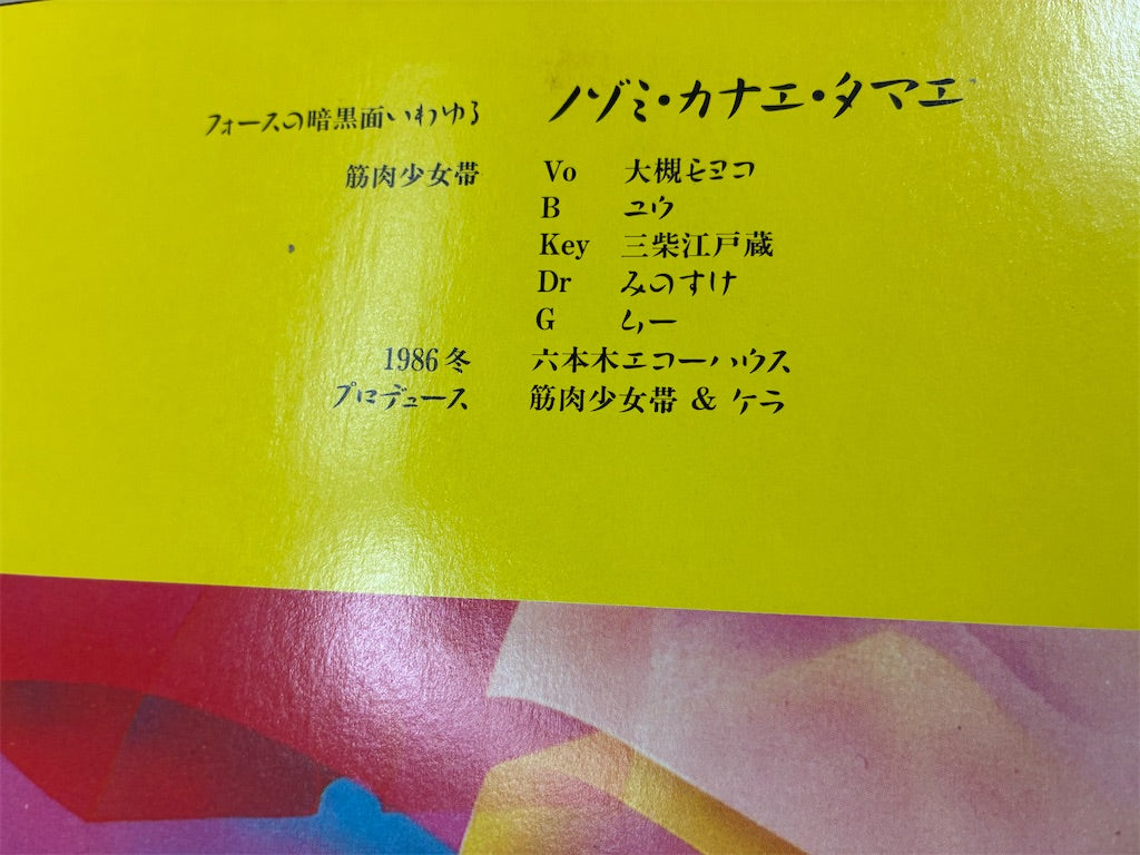 筋肉少女帯 【ノゾミカナエタマエ】中古レコード