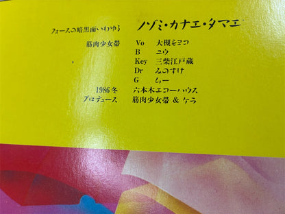 筋肉少女帯 【ノゾミカナエタマエ】中古レコード