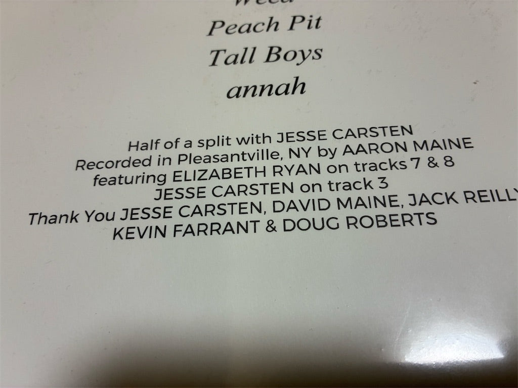 Porches【Scrap and Love Songs Revisited】新品レコード