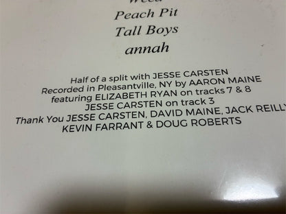 Porches【Scrap and Love Songs Revisited】新品レコード