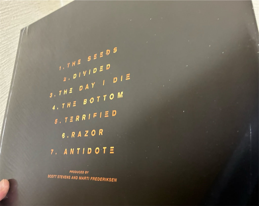Daughtry【Shock To The System (Part Two)】新品レコード
