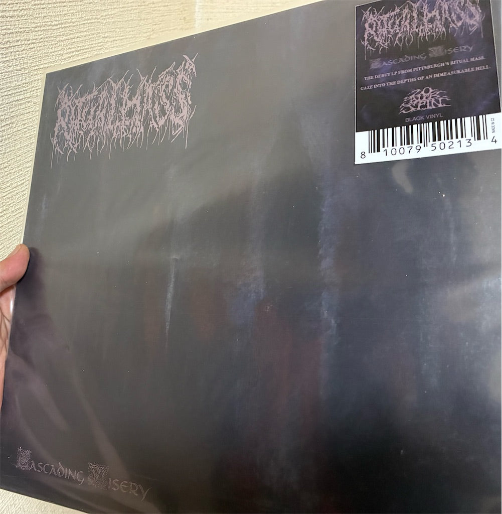 Ritual Mass【Cascading Misery】新品レコード