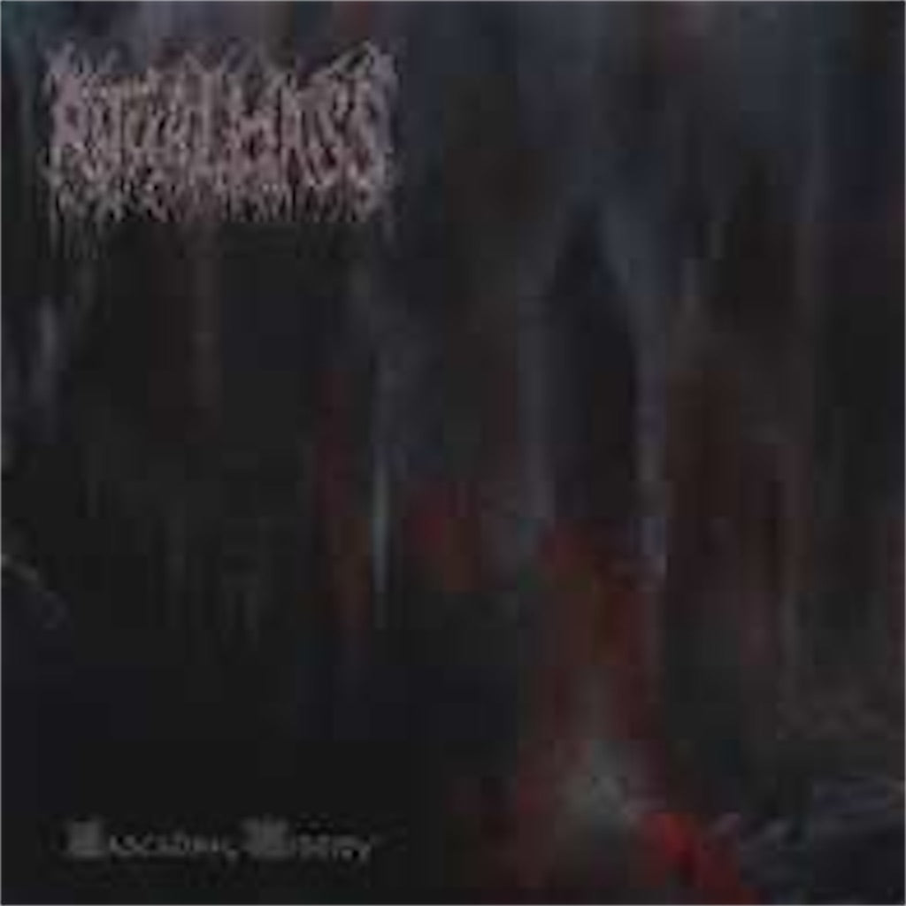 Ritual Mass【Cascading Misery】新品レコード