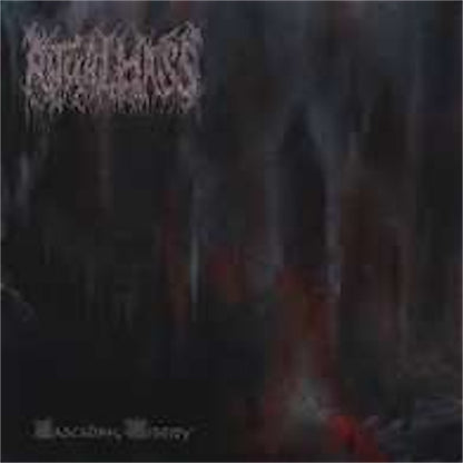 Ritual Mass【Cascading Misery】新品レコード