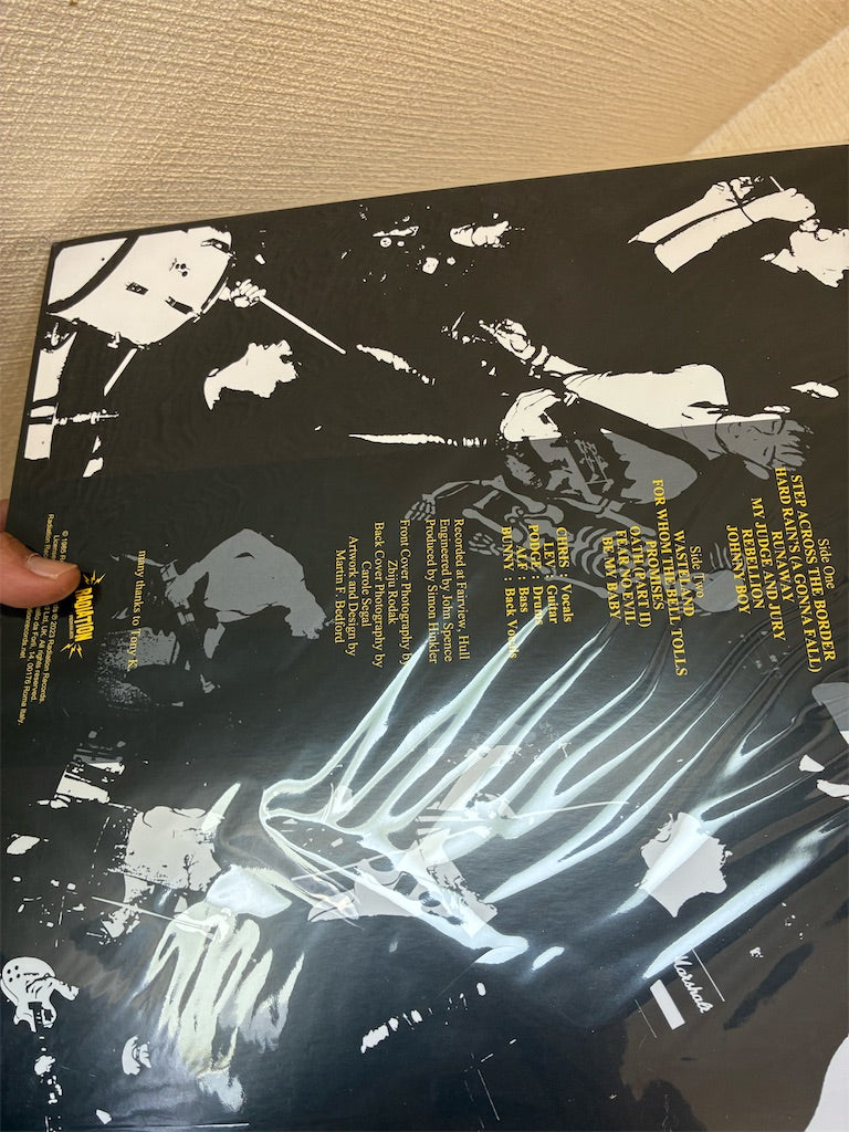 Mau Maus【Fear No Evil】新品レコード