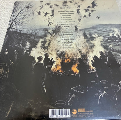 CZART【Czarty Polskie】新品レコード