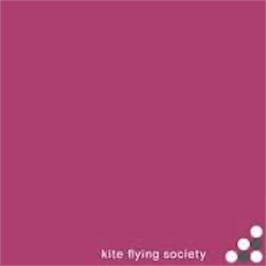 Kite Flying Society【Pink EP / Jochem EP】新品レコード