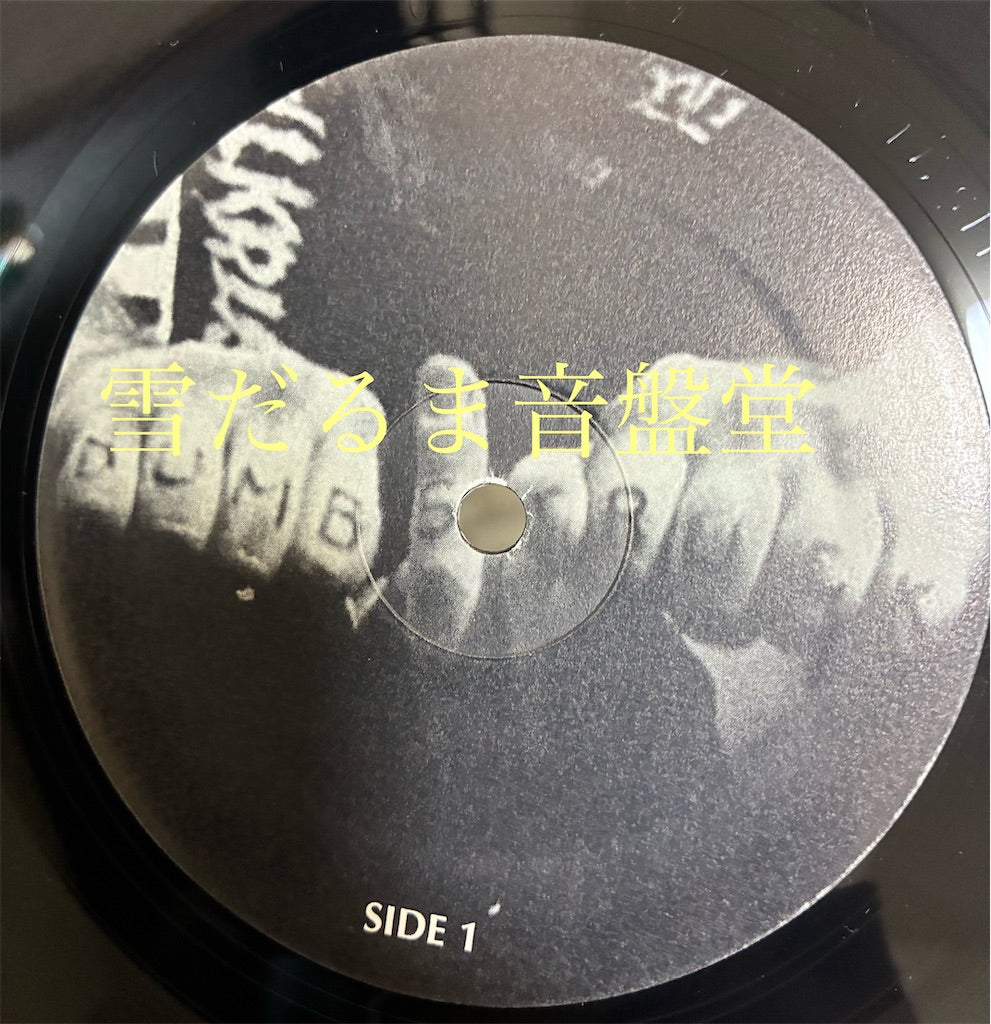 Dumbstruck【And We All Fall Down】中古レコード