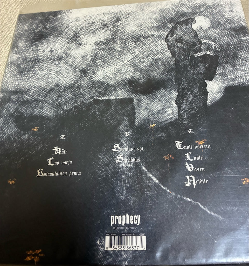 Tenhi【Kaski】新品レコード