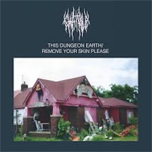 Chat Pile【This Dungeon Earth / Remove Your Skin Please】新品レコード