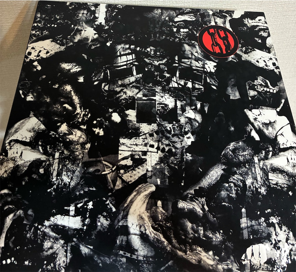 Ruin Lust【Choir of Babel】中古レコード