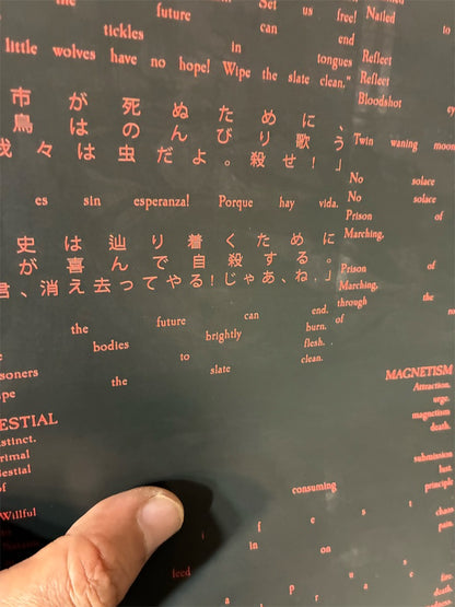 Ruin Lust【Choir of Babel】中古レコード
