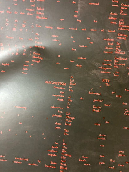 Ruin Lust【Choir of Babel】中古レコード