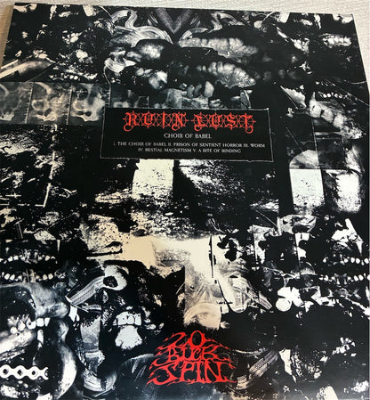 Ruin Lust【Choir of Babel】中古レコード