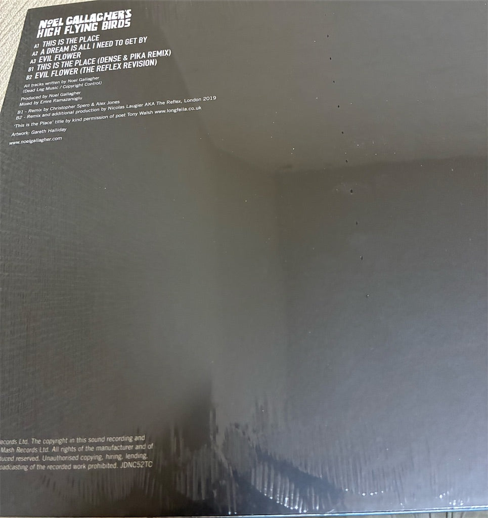 Noel Gallagher's High Flying Birds【This Is The Place】新品レコード